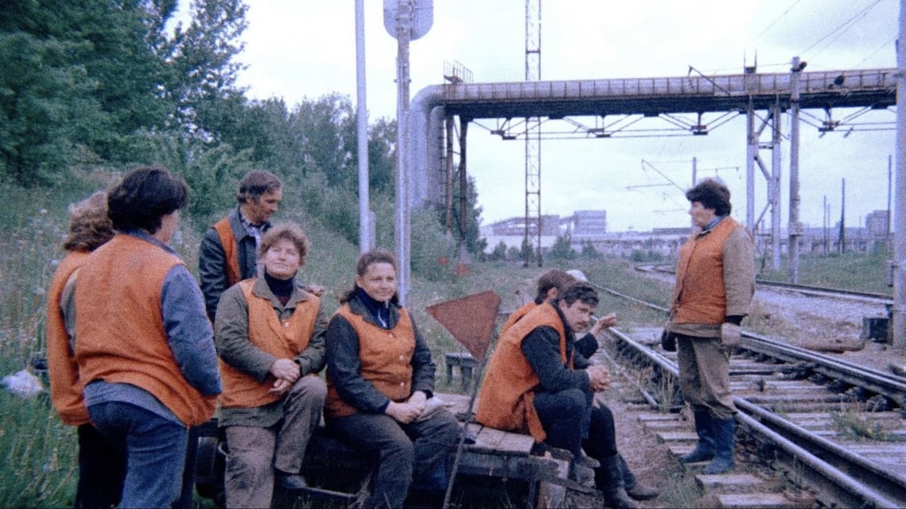 Orange Vests
