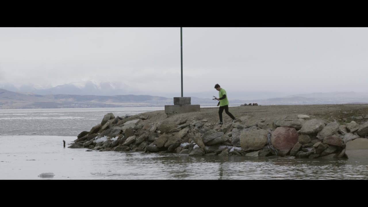 Lobster Hunt