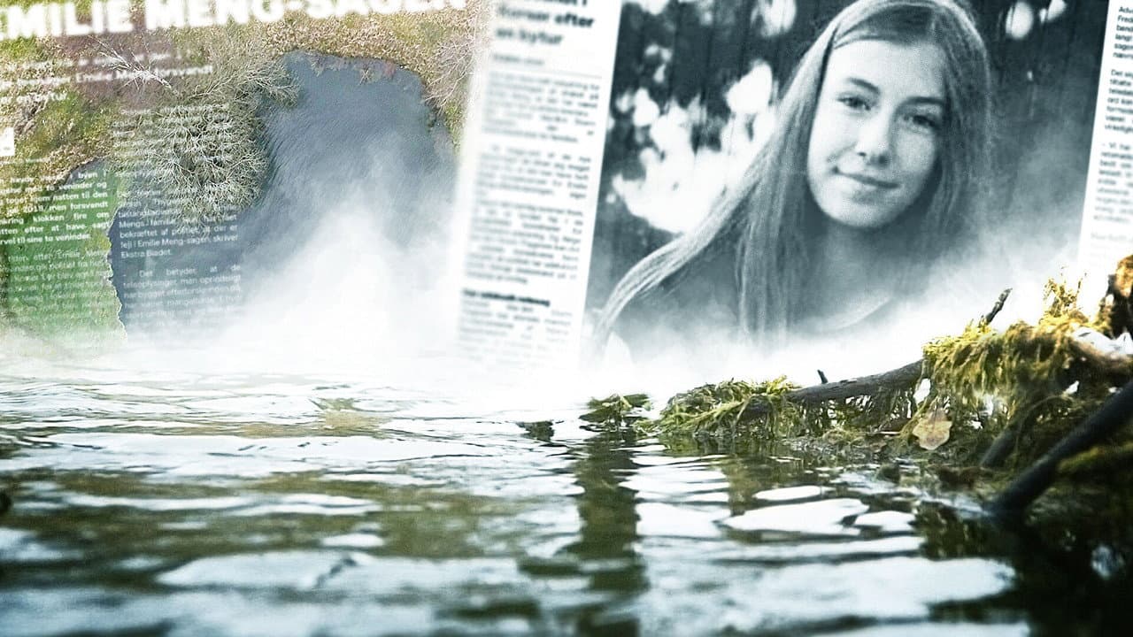 Emilie Meng - an investigation goes awry