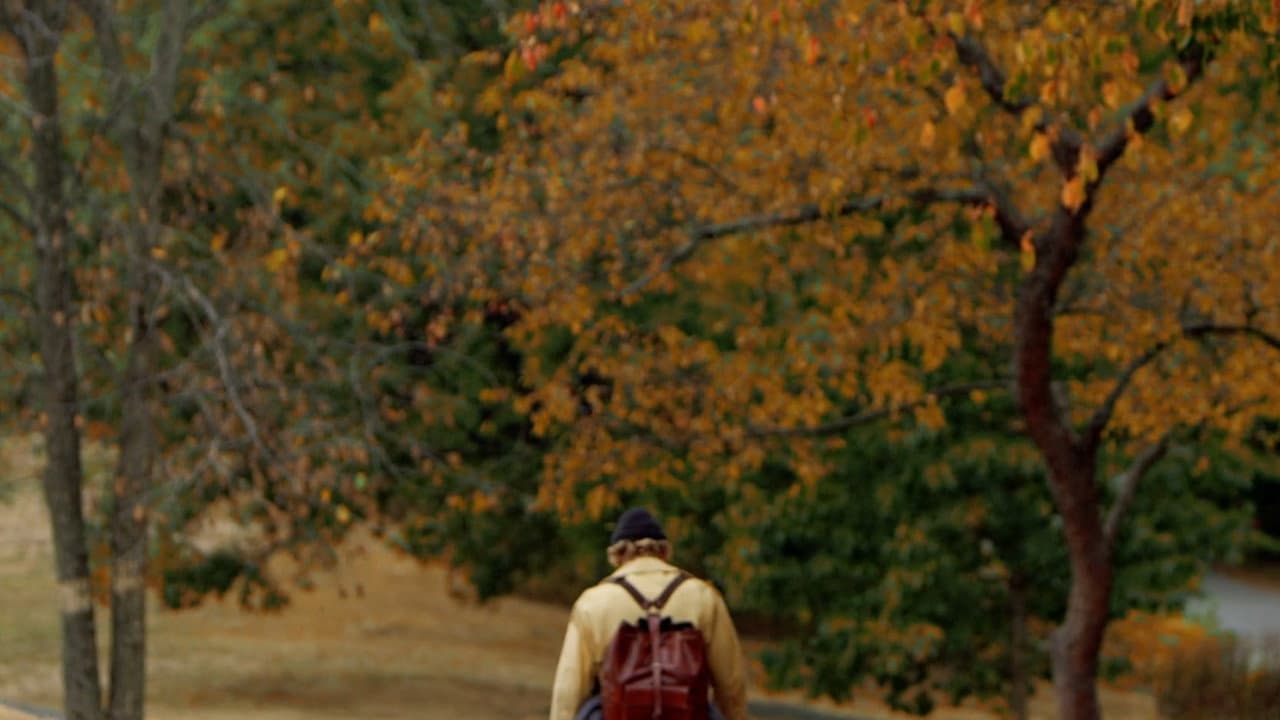 The Forest