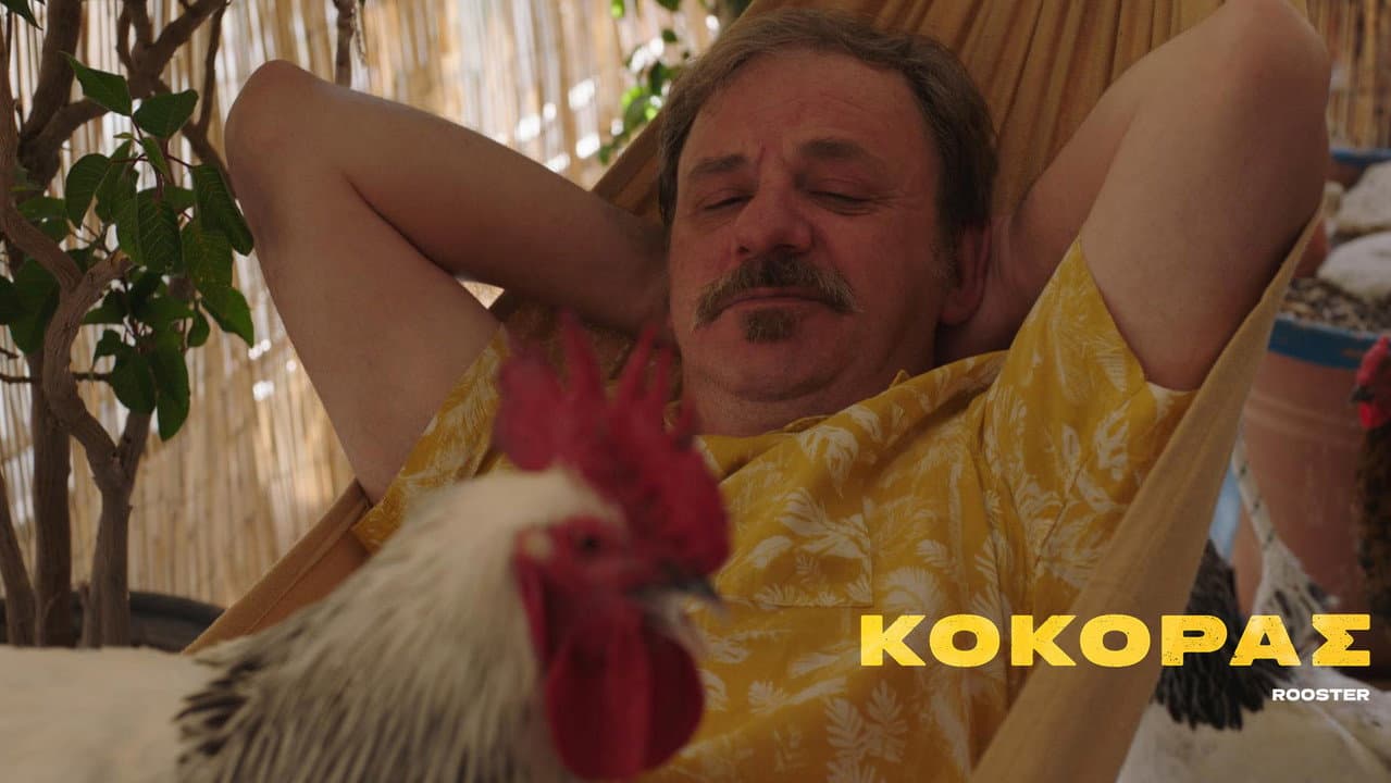 Rooster
