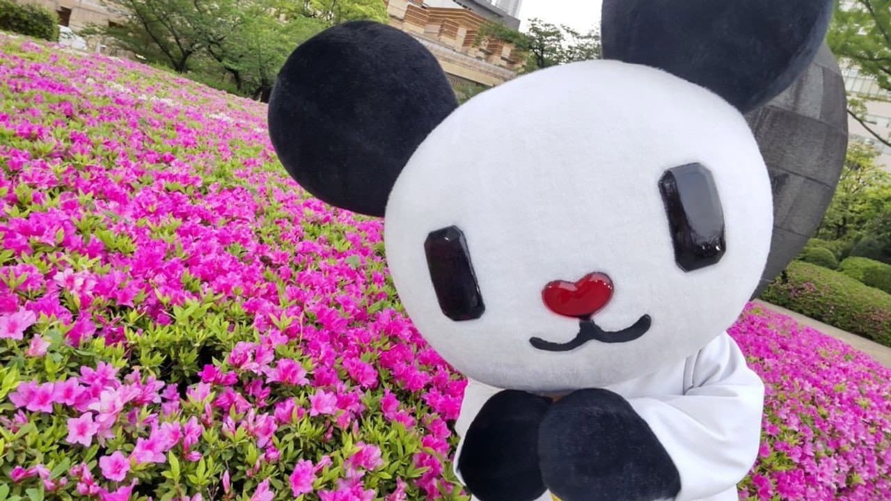 おはよう&よふかしゴーちゃん。