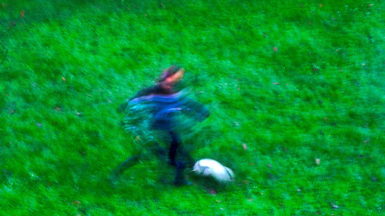 Terrain de jeux