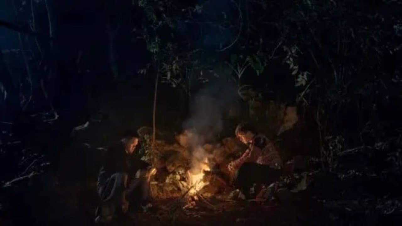 Pao's Forest