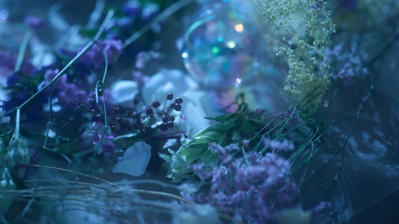 Touken Ranbu: The Musical - Higekiri Solo Performance ~Fleeting Dreams~