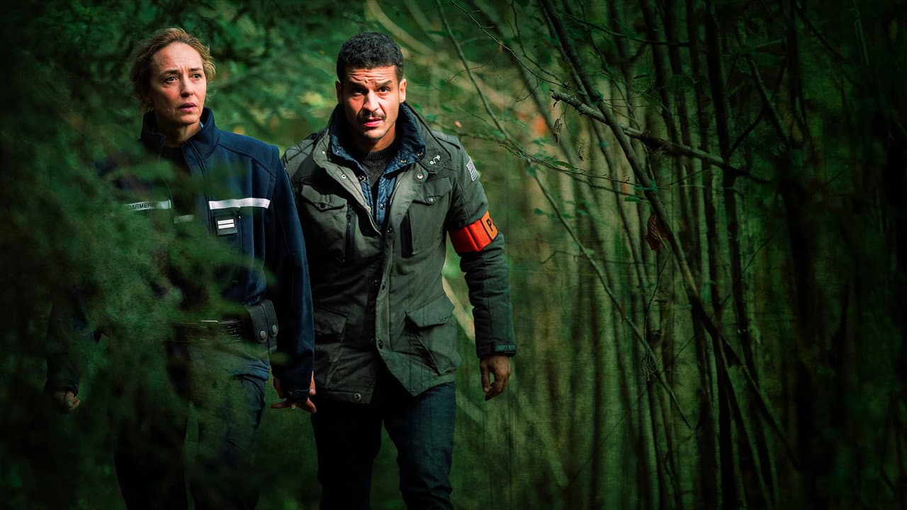 Les Bois assassins