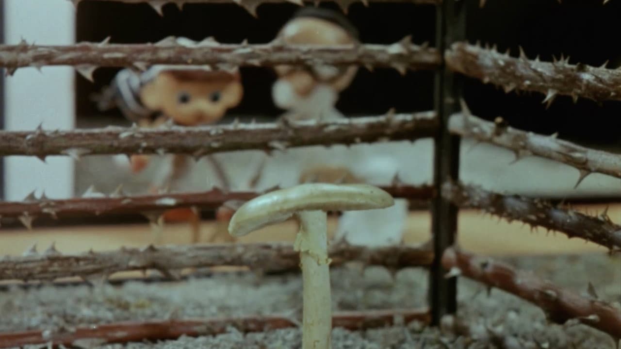 Cameraman Kõps in Mushroomland