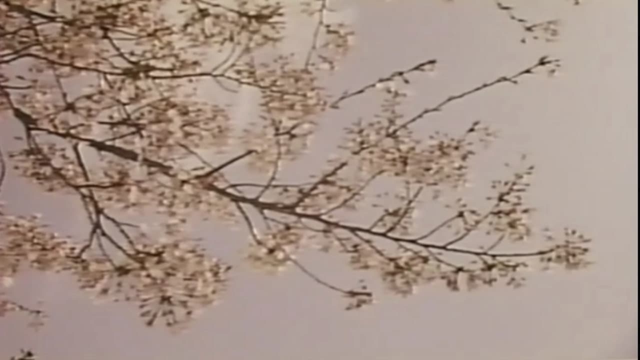 Wakaoku-sama: Futomono-biraki