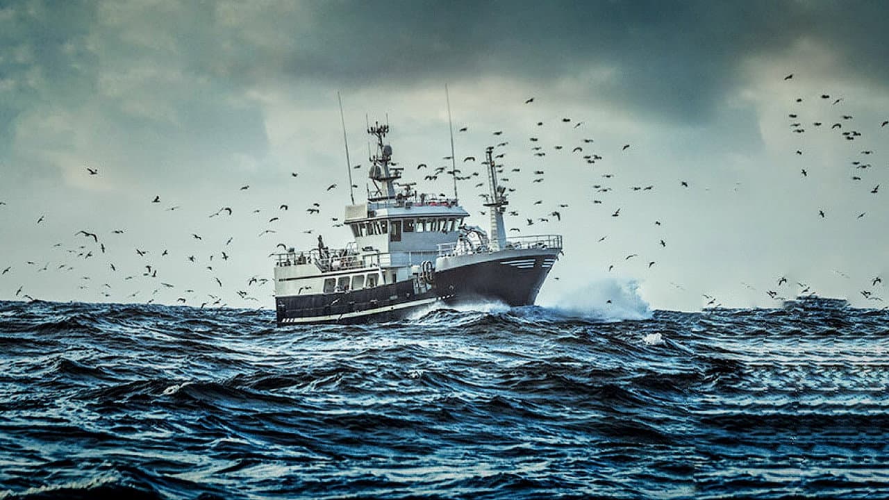 East Harbour Heroes