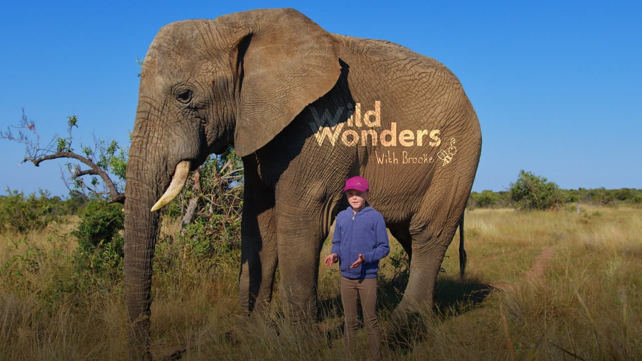 Wild Wonders with Brooke