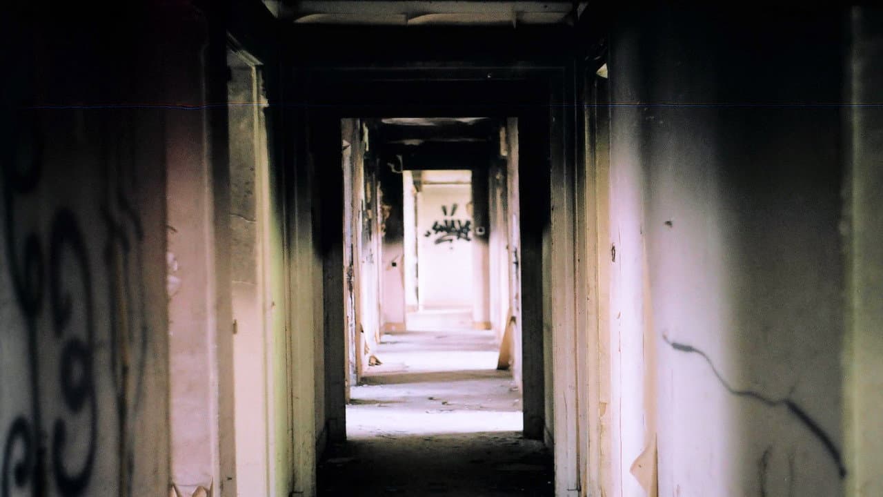 Bad Tenants, Rogue Landlords