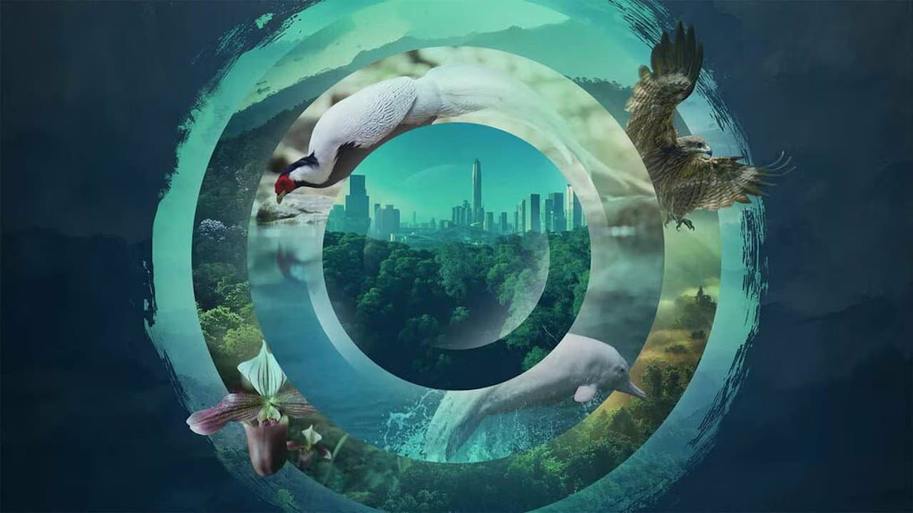 China's Wild Guangdong