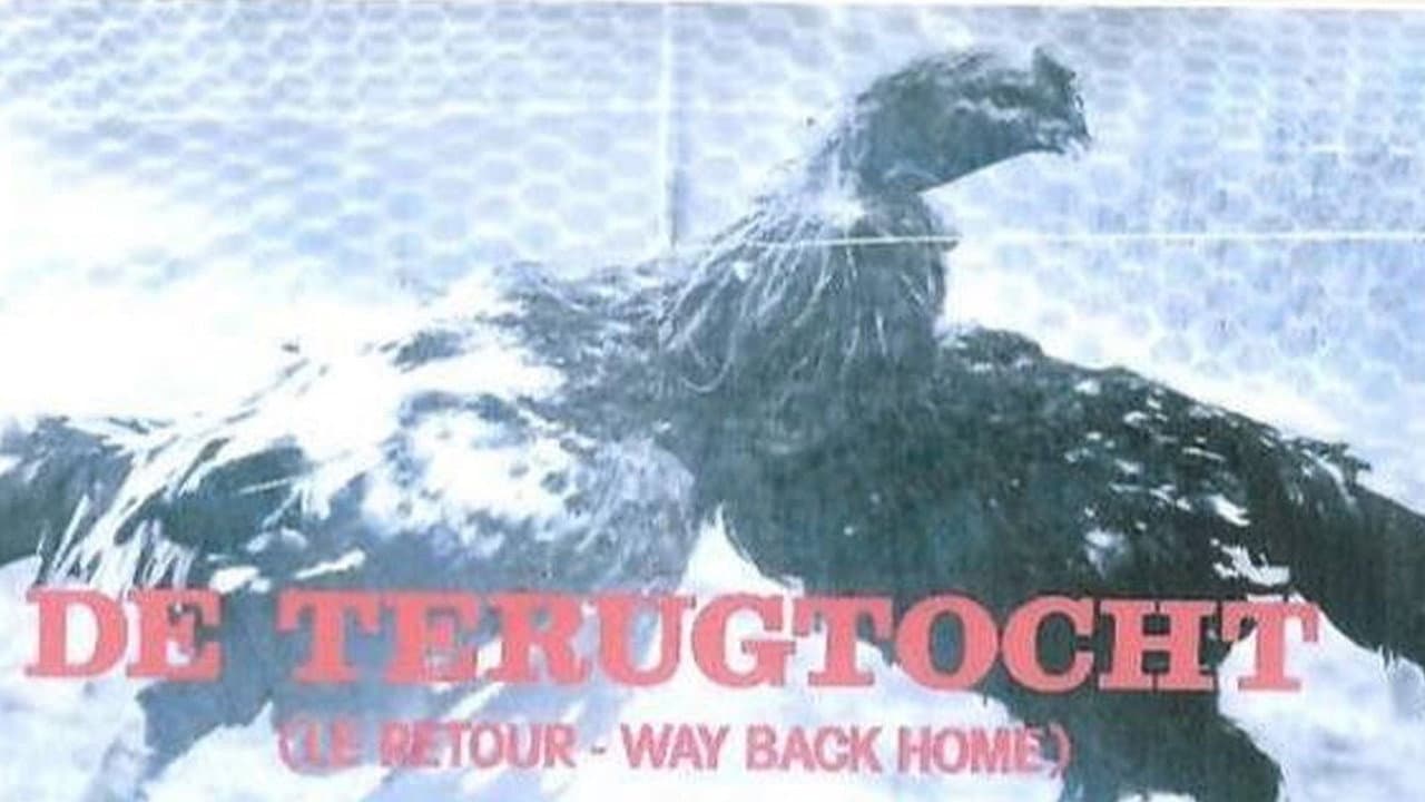 De Terugtocht