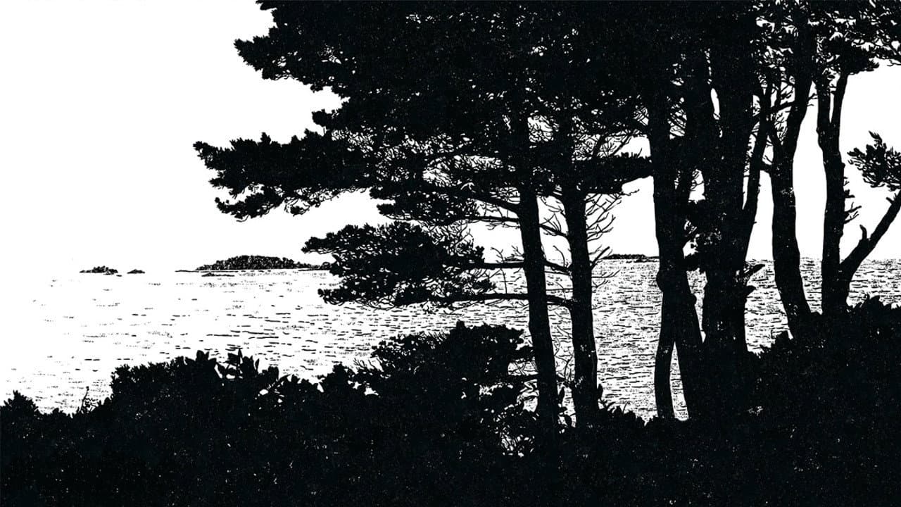 The Shoreline