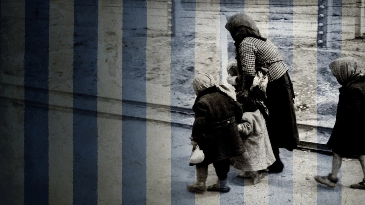 Auschwitz - One Day