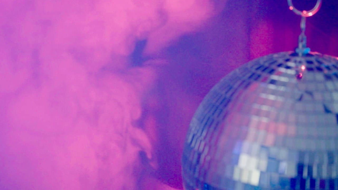 Disco Sex Machine : La naissance du porn chic