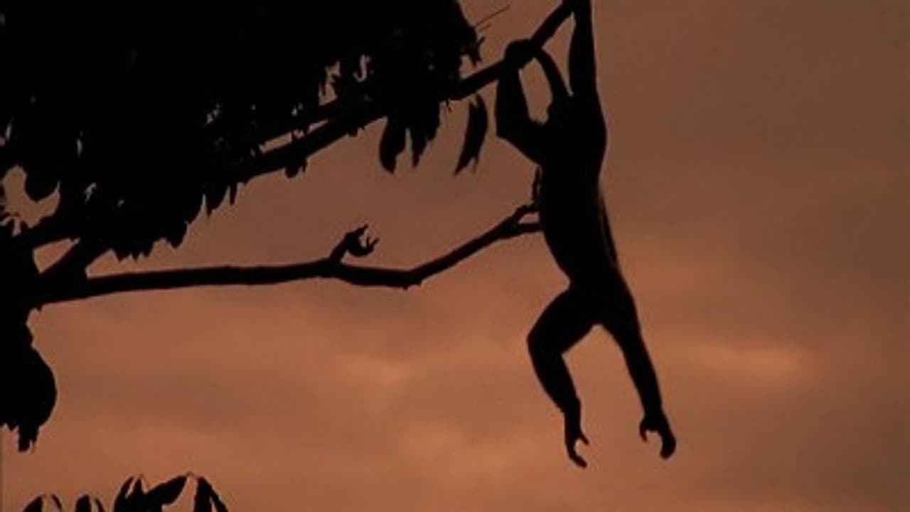 Battle In The Treetop