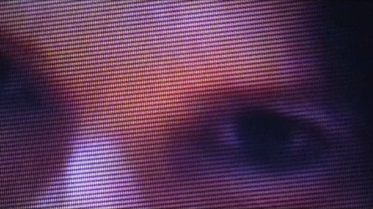 Sam Jackson's Secret Video Diary