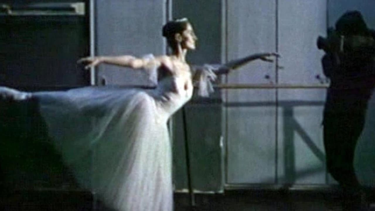 The Black Swans