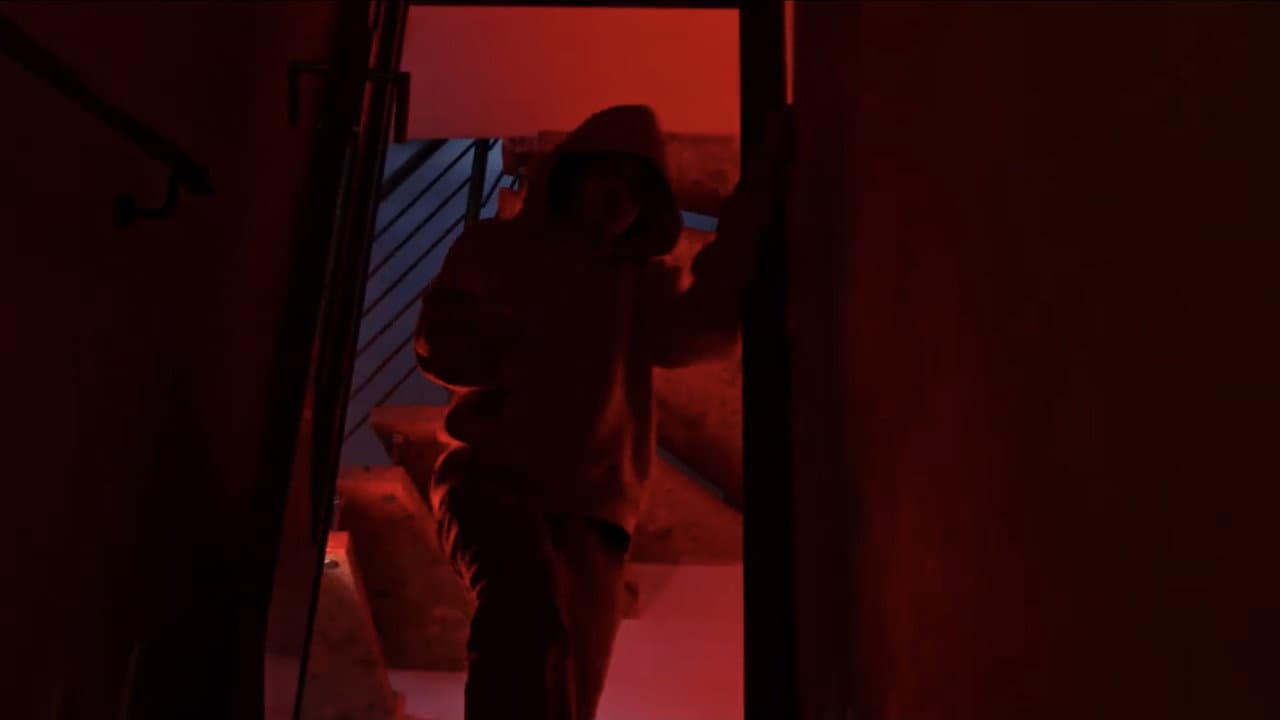 Night of the Zombeer