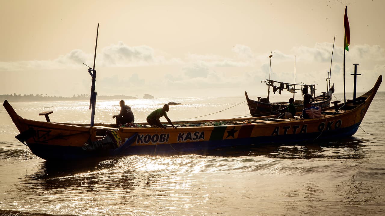 The Fisherman