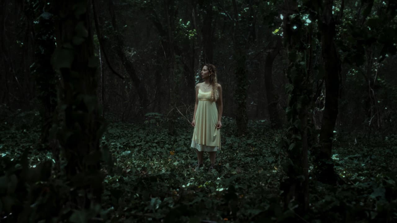 The Witch of the Woods