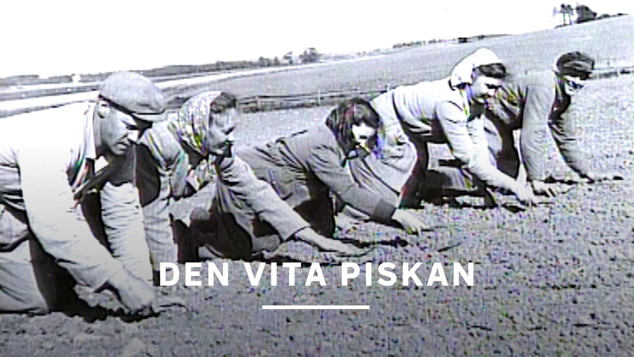 Den vita piskan