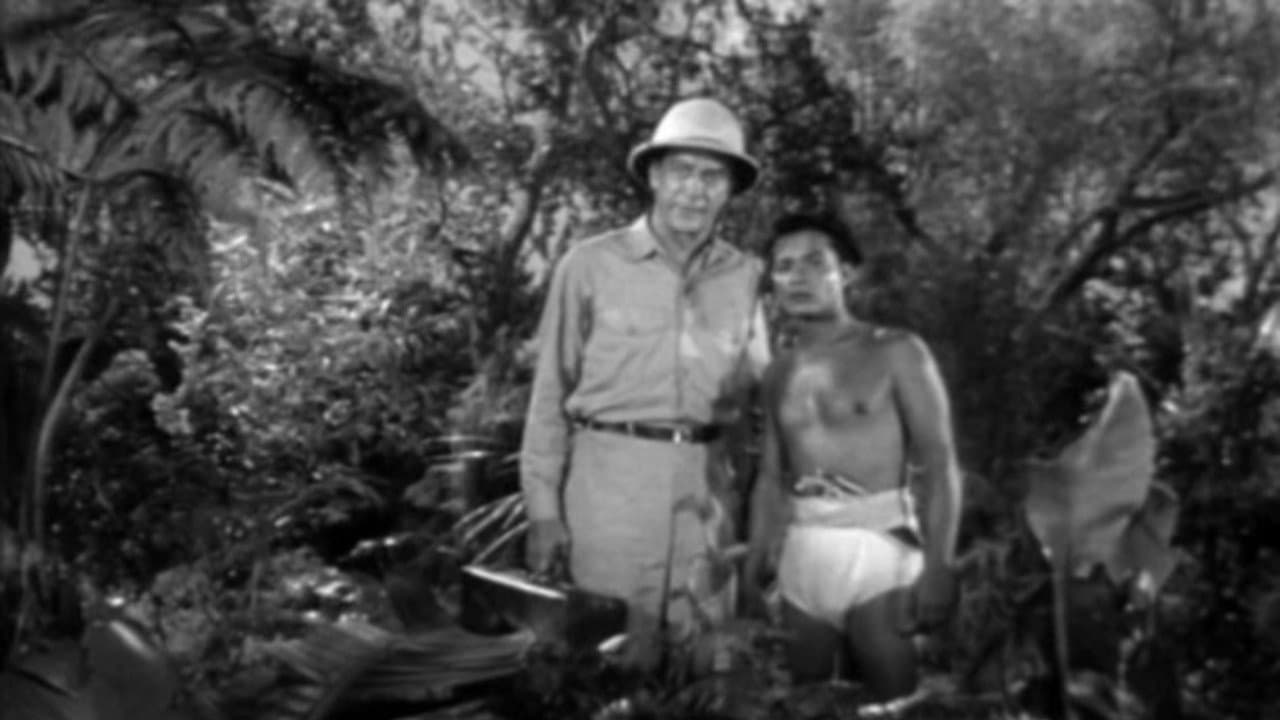 Jungle Hell