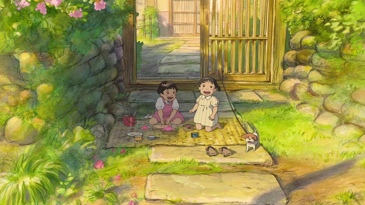 Everything Ghibli Special Short Shorts