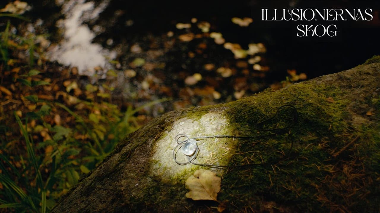 Forest of Illusions