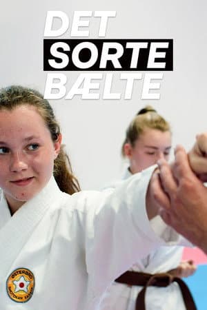 Det sorte bælte