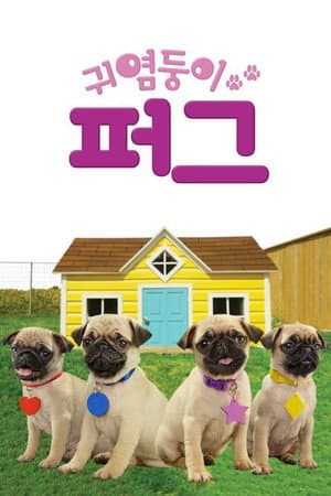 Cutie Pugs