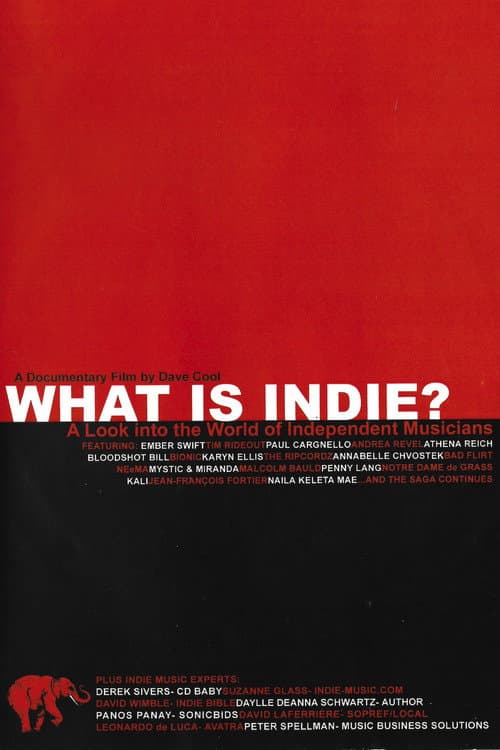 What is Indie? A look into the World of Independent Musicians