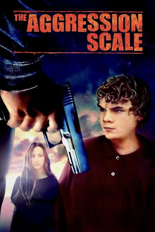 The Aggression Scale