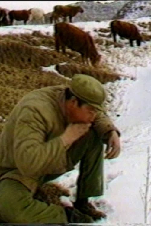 The Cattle Herdsman