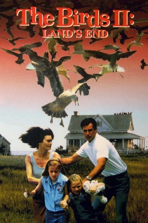 The Birds II. Land's End