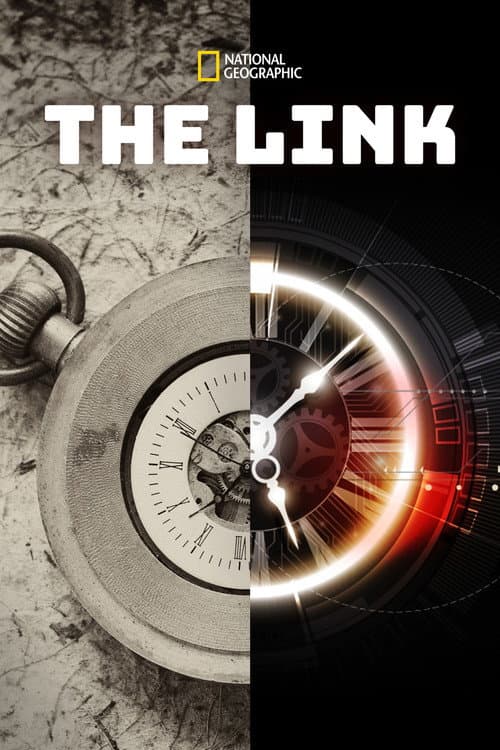 The Link
