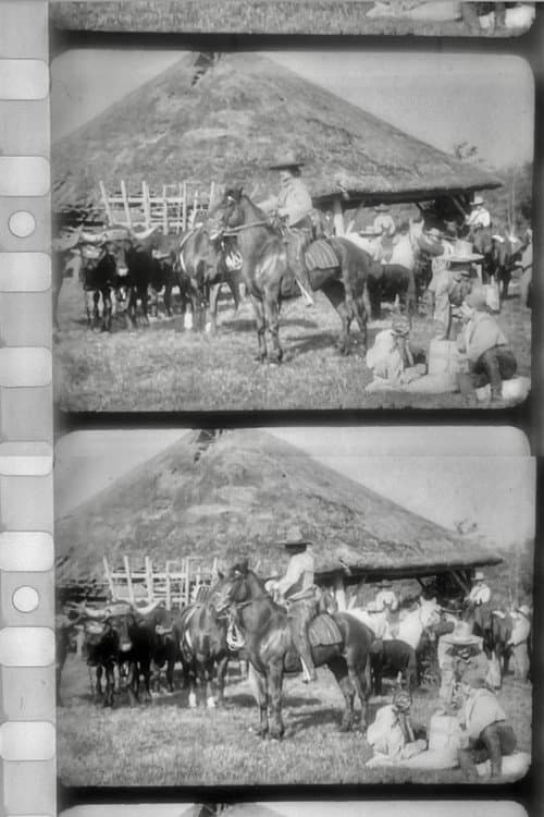 Les Apaches du Far-West