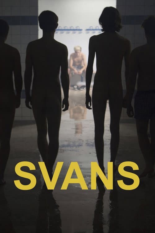 Swans