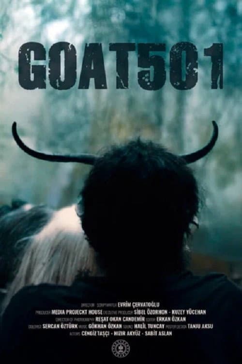 Goat501