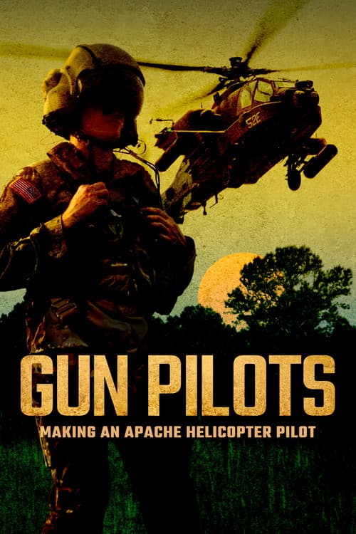 Gun Pilots