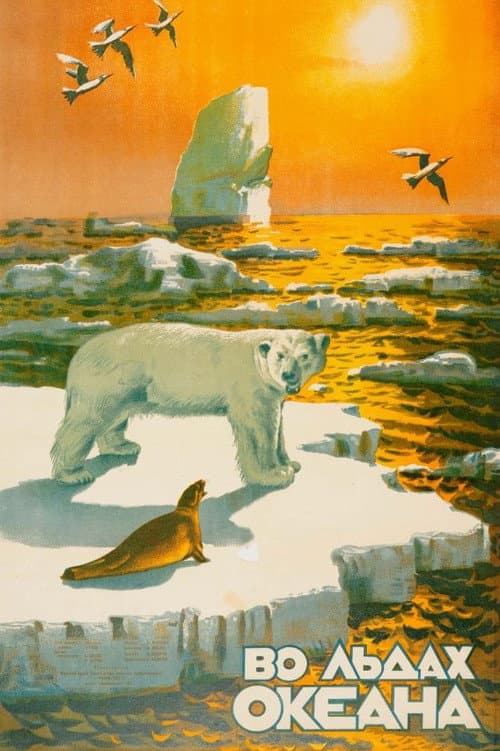 Life in the Arctic