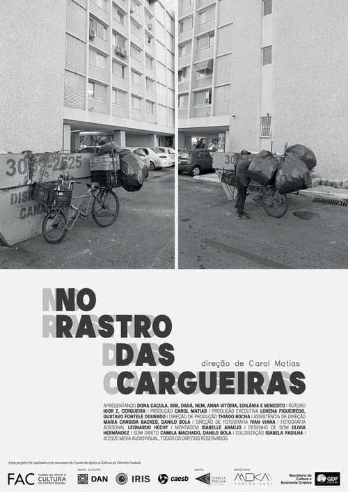 No Rastro das Cargueiras