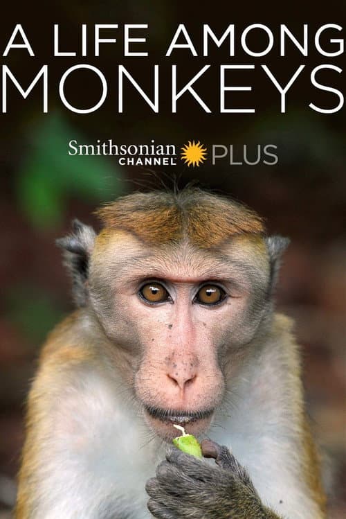 A Life Among Monkeys