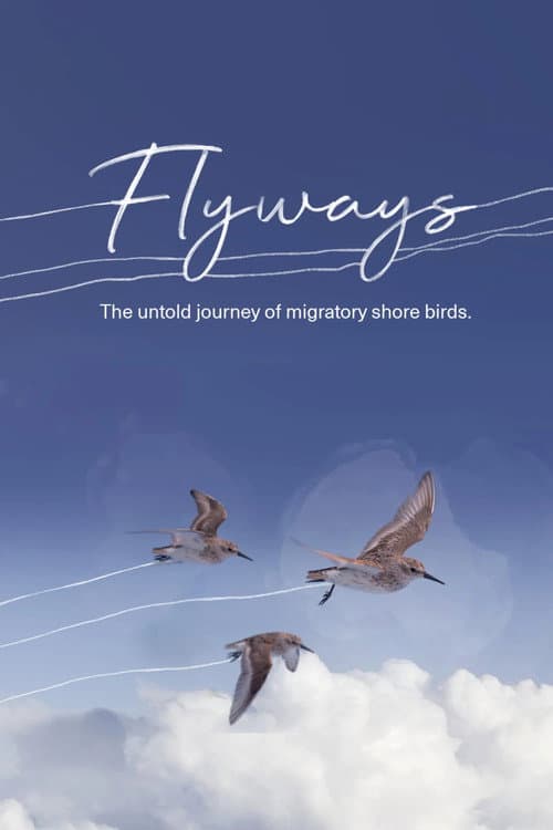 Flyways: The Untold Journey of Migratory Shorebirds