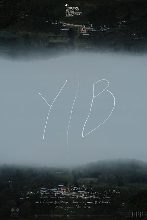 YIB