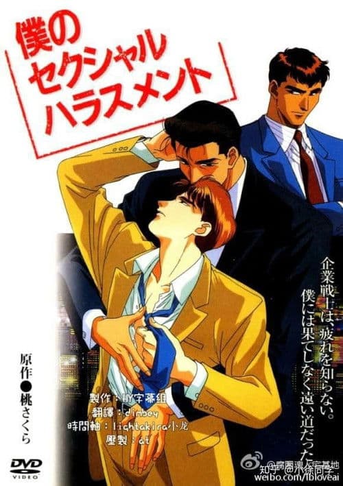 My Sexual Harassment