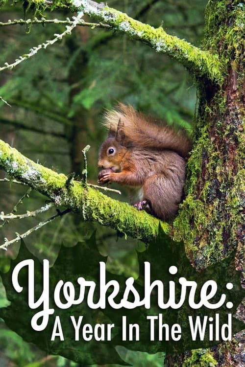 Yorkshire: A Year in The Wild