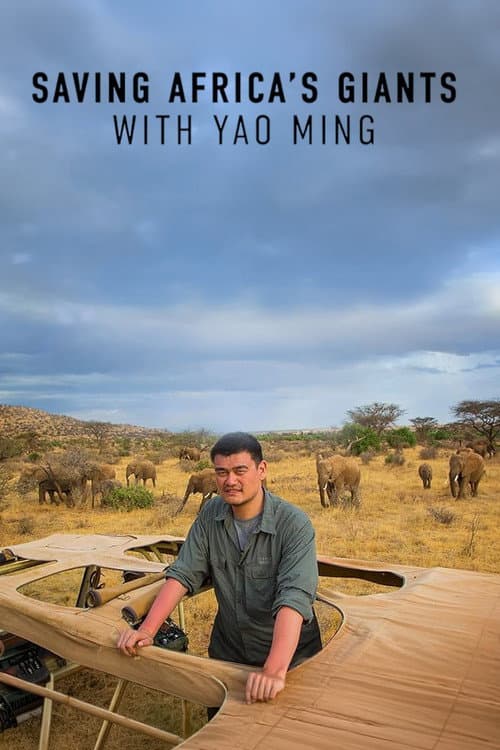 Saving Africa's Giants With Yao Ming